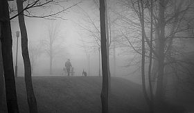 Прогулка в тумане | Фотограф Андрей Бубнович | foto.by фото.бай