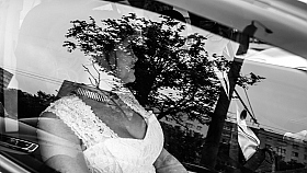 Работа фотографа Сергей Тарасов