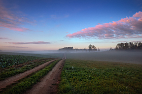 Дорога в дымку | Фотограф Сергей Шабуневич | foto.by фото.бай