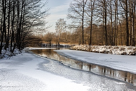 Начало зимы | Фотограф Дмитрий Голуб | foto.by фото.бай