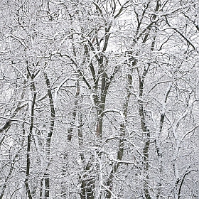 Зимняя смальта | Фотограф Валерий Зелезей | foto.by фото.бай