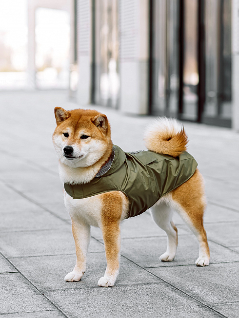 Фотограф Анна Островская, фотография добавлена 14.01.2026