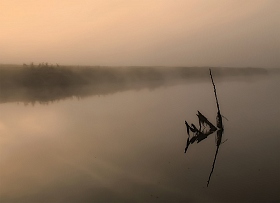 Отражение утра | Фотограф Сергей Шабуневич | foto.by фото.бай