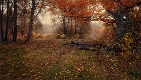 Осеннее настроение | Фотограф Влад Соколовский | foto.by фото.бай
