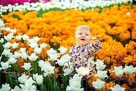 в ожидании весны) | Фотограф Янина Гришкова | foto.by фото.бай