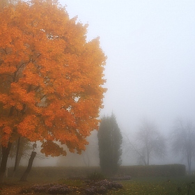Осень на школьном дворике | Фотограф Артур Язубец | foto.by фото.бай