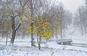 Первый снег Ноября | Фотограф Зміцер Пахоменка | foto.by фото.бай