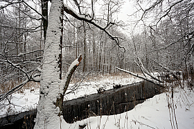 У реки | Фотограф Андрей Марцинкевич | foto.by фото.бай