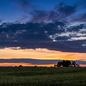 Силуэты | Фотограф Сергей Шабуневич | foto.by фото.бай