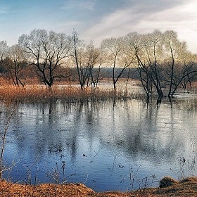 Весна на Схе | Фотограф Павел Слепухин | foto.by фото.бай
