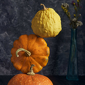 Тыквы,левитация... | Фотограф Зміцер Пахоменка | foto.by фото.бай