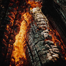 фотограф Алексей Бадылевич. Фотография "Burned wood"