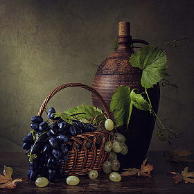 Осенний виноград | Фотограф Ирина Приходько | foto.by фото.бай