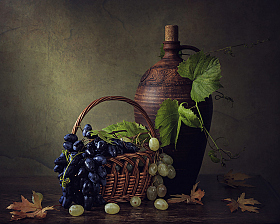 Осенний виноград | Фотограф Ирина Приходько | foto.by фото.бай