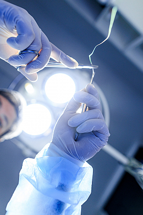 Работа фотографа Михаил и Елизавета Лукашевич