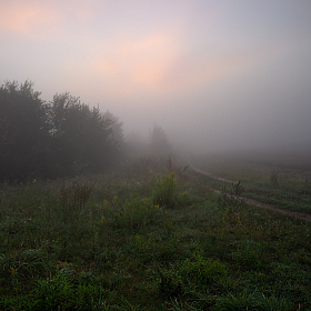 Туман на рассвете | Фотограф Сергей Шабуневич | foto.by фото.бай