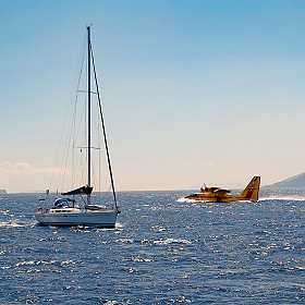 фотограф Владимир Ковалёв. Фотография "Встреча"