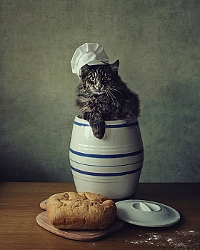 Горе пекарь | Фотограф Ирина Приходько | foto.by фото.бай