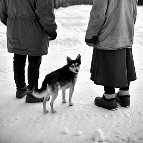 фотограф Яўген Sagin. Фотография "Обычные люди"