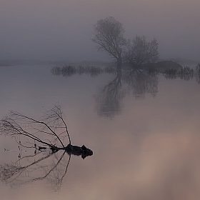 *** | Фотограф Валерий Кондратов | foto.by фото.бай