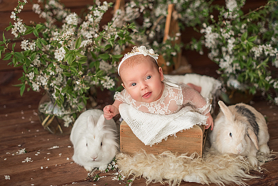 Фотограф Олеся Фетисова, фотография добавлена 06.08.2020