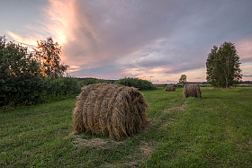 на закате... лета... | Фотограф Олег Яскевич | foto.by фото.бай