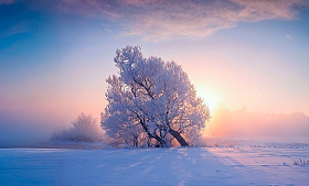 Морозный рассвет | Фотограф Сергей Шабуневич | foto.by фото.бай