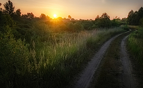 Дорога на восход | Фотограф Александр Шатохин | foto.by фото.бай