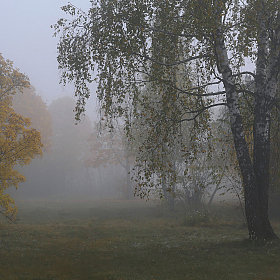 фотограф Александр Задёрко. Фотография "Тихое утро туманное"