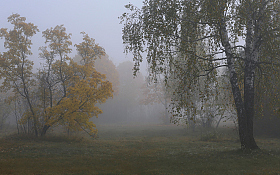 Тихое утро туманное | Фотограф Александр Задёрко | foto.by фото.бай