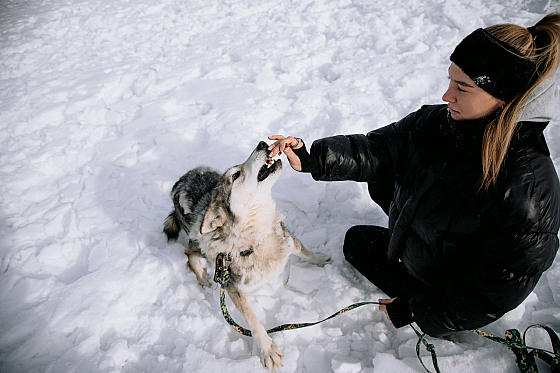 Фотограф Дмитрий Гусалов, фотография добавлена 18.02.2026