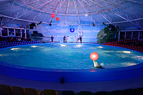 Работа фотографа Сергей Тарасов