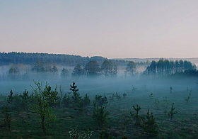 Туман. Восход. | Фотограф Вадзім Краўцоў | foto.by фото.бай