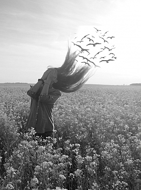 Птицы | Фотограф Елизавета Симонова | foto.by фото.бай