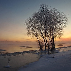 Морозное утро | Фотограф Сергей Шляга | foto.by фото.бай