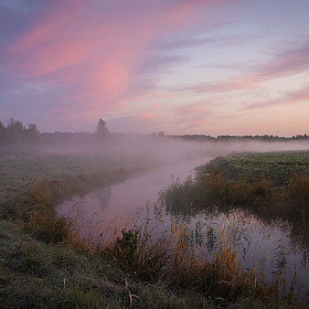 фотограф Дмитрий Захаров. Фотография "Осенний туман"