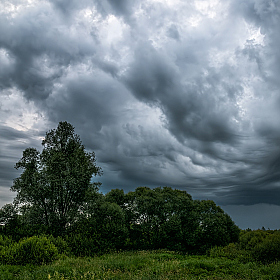 Перед грозой | Фотограф Александр Шатохин | foto.by фото.бай