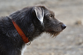 In profile.. | foto.by фото.бай