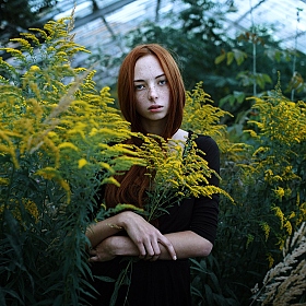 фотограф Belko Nik. Фотография "Greenhouse wildflower"