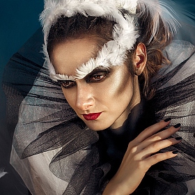 Black Swan | Фотограф Дарья Баглай | foto.by фото.бай