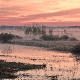 фотограф Павел Нагин. Фотография "Туманное утро"