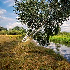 Солнечный день на Немане | Фотограф Сергей Шабуневич | foto.by фото.бай