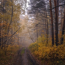 Альбом "Осень" | Фотограф Mihail | foto.by фото.бай
