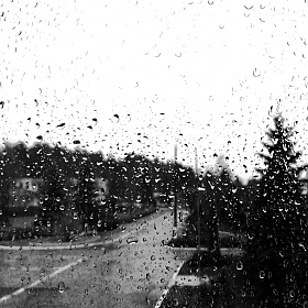 фотограф Владислав Воробьёв. Фотография "Raining day's"