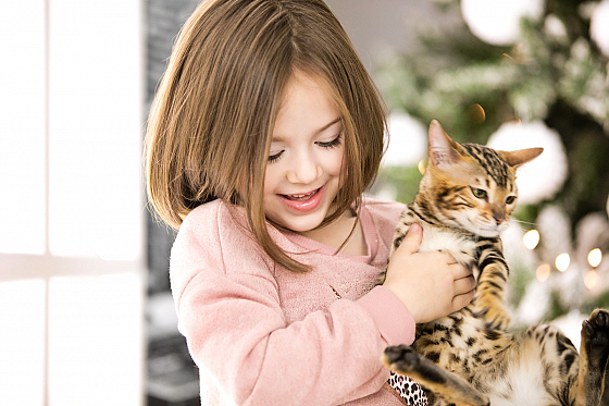 Фотограф Екатерина Ясинская, фотография добавлена 24.01.2017