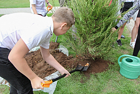Работа фотографа Сергей Тарасов
