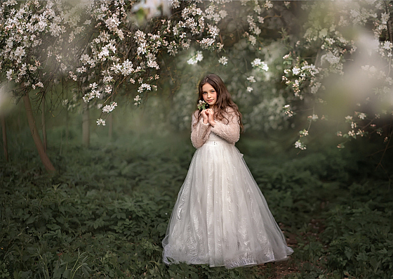 Алена Кисель - фотограф в городе Минск, фотография добавлена 19.09.2020