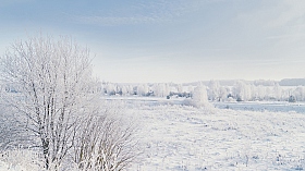 Настоящая Зима | Фотограф Алексей Жариков | foto.by фото.бай