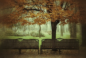 Осень | Фотограф Виктор Позняков | foto.by фото.бай