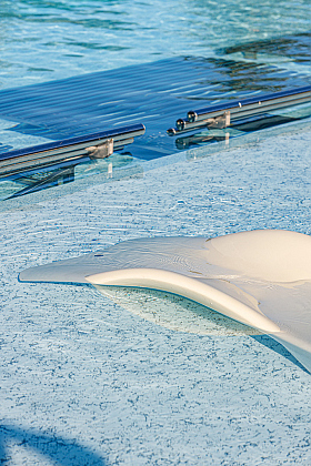 Работа фотографа Андрей Кот